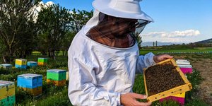 Μειωμένη κατά 70% η παραγωγή μελιού στην Κ. Μακεδονία λόγω των βροχοπτώσεων