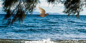 Καιρός