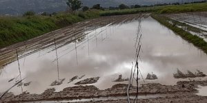 Λασίθι κακοκαιρία πλημμύρα