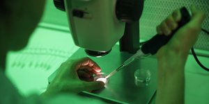 Γενετικό πείραμα σε εργαστήριο 