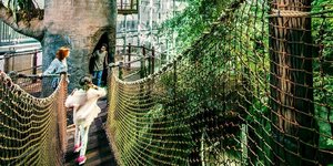 Στο τροπικό δάσος του Universeum