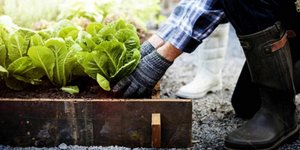 Eurostat: Η έκταση για βιολογική παραγωγή αντιστοιχεί στο 9,9% της συνολικής γεωργικής έκτασης της ΕΕ