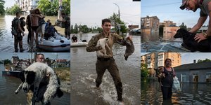 Μεγάλη επιχείρηση διάσωσης ζώων στις πλημμυρισμένες περιοχές στη Χερσώνα