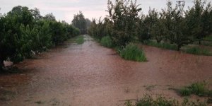 Πλημμύρες σε χωράφι στην Πέλλα