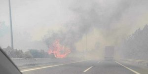 φωτιά Αλμυρός