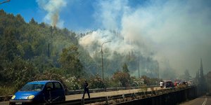 Φωτιά στην Ηλεία