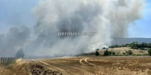 Φωτιά στο Καπαρέλι Βοιωτίας