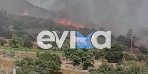 Φωτιά στη Κάρυστο