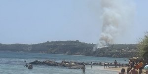 Φωτιά στη Μεσσηνία