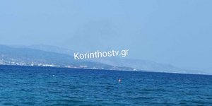 Φωτιά στην περιοχή Λημέρι Κορινθίας