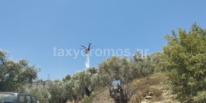 Φωτιά στα Αργυραίικα Πηλίου