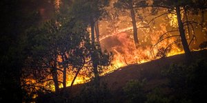 Φωτιά στη Ρόδο / Φωτογραφία: EUROKINISSI