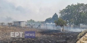 φωτια Βελεστίνο