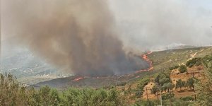 Φωτιά στην Κάρυστο