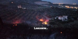 Φωτιά στη Λαμία