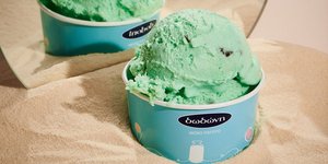 Δωδώνη - Mint Choco Chips