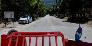 Περιπολικό σε δάσος