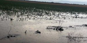 Πλημμυρισμένο χωράφι στη Καρδίτσα