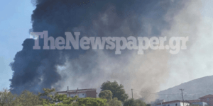 Φωτιά κοντά στον αρχαιoλογικό χώρο του Σέσκλου, έξω από τον Βόλο -Απειλούνται σπίτια