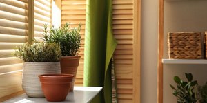 Φωτογραφία: shutterstock