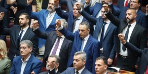 Σπαρτιάτες ορκωμοσία στη Βουλή Βασίλης Στίγκας