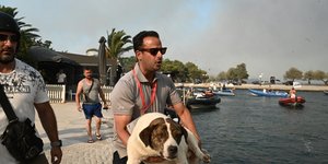 Πρόεδρος συλλόγου ιστιοπλοϊας διασώζει σκύλο