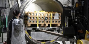 Χημικά όπλα των ΗΠΑ