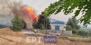Φωτιά σε εργοστάσιο στο Σέσκλο