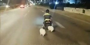 Βάρκιζα 40χρονος τροχαίο δυστύχημα