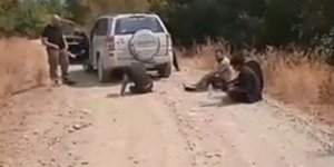 βίντεο Έβρος μετανάστες σύλληψη