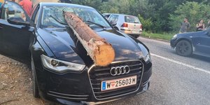 Κορμός δέντρου αυτοκίνητου