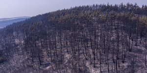 Έβρος φωτιές φωτιά πυρκαγιές