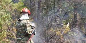 Οι Ένοπλες Δυνάμεις στη μάχη της κατάσβεσης των πυρκαγιών