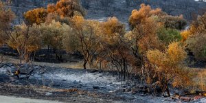 Αποκαρδιωτική η εικόνα στον Έβρο