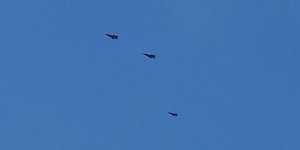 Τρία αμερικανικά F-35 πέταξαν πάνω από την Αθήνα σε χαμηλό ύψος 