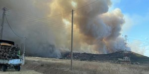 Φωτια στην Αλεξανδρούπολη 