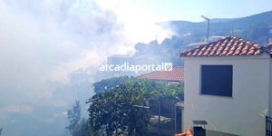 Φωτιά στην Αγία Σοφία Αρκαδίας / Φωτογραφία: arcadiaportal.gr