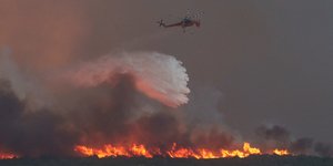 Φωτιά στην Αλεξανδρούπολη / Φωτογραφία: SOOC