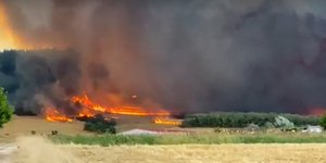 φωτιά αλεξανδρούπολη