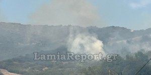 Υπό έλεγχο η φωτιά στη Βίτωλη Μακρακώμης / Φωτογραφία: LamiaReport.gr