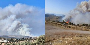 Φωτιά στον Πρόδρομο Βοιωτίας