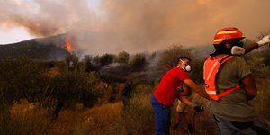 Φωτιά στη Βοιωτία / Φωτογραφία: EUROKINISSI