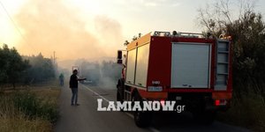 Φωτιά στη Λαμία, στην περιοχή Κομποτάδες / Φωτογραφία: Lamianow.gr