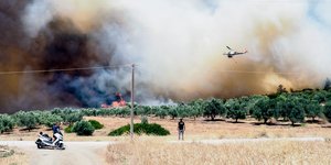 φωτιά στα ψαχνά