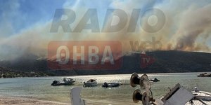 Φωτιά στην παραλία Σαράντη Βοιωτίας