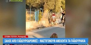 Παράνομες γαϊδουροδρομίες στη Λέσβο