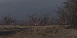 Δεκάδες νεκροί από τις φονικές πυρκαγιές στη Χαβάη