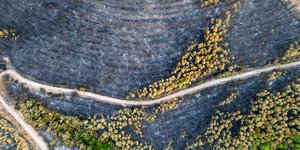 Τα καμένα του Εβρου από ψηλα