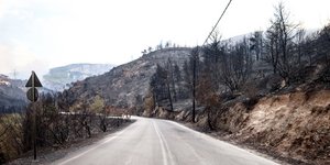 Καμένα στην Φυλή