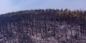 Φωτιά στην Αλεξανδρούπολη